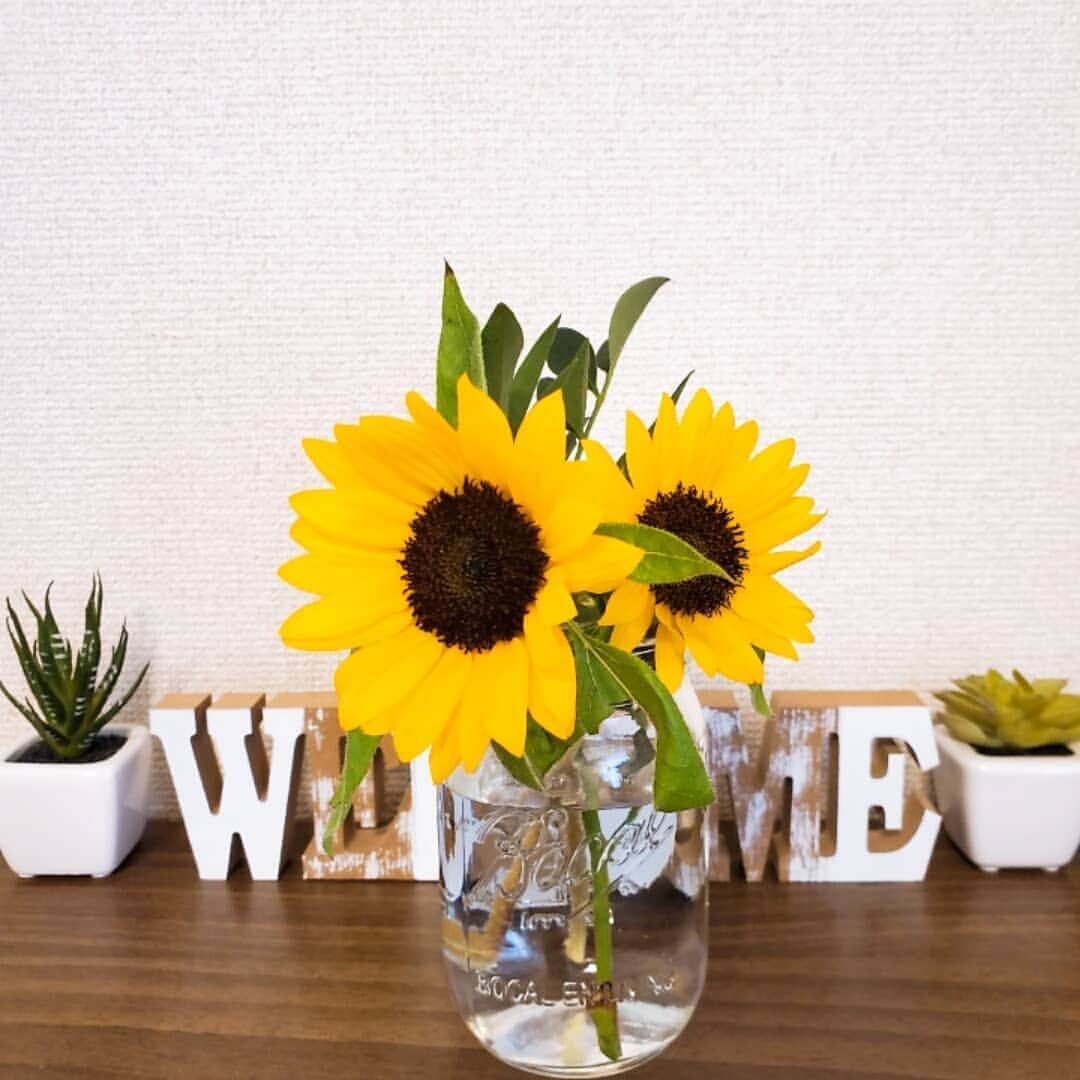 池田夏希さんのインスタグラム写真 - (池田夏希Instagram)「夏はひまわりを飾るのが好き🌻 見つけるとついつい買ってしまう😊💕 . . #ひまわり #向日葵 #お花のある暮らし #お花のある生活 #花 #花のある暮らし #花のある生活 #花瓶 #花束 #ミニブーケ #花を飾る #花を楽しむ #お花があると癒される #sunflower #livingwithflowers #lifewithflowers #flowers #blossom #vase #bouquet #minibouquet #decorateflowers #enjoytheflowers #healedwhenthereareflowers #healed #instaflower #instasunflower #flowerstagram #flowerphotography #flowerlovers」8月16日 18時44分 - natsukiikeda624