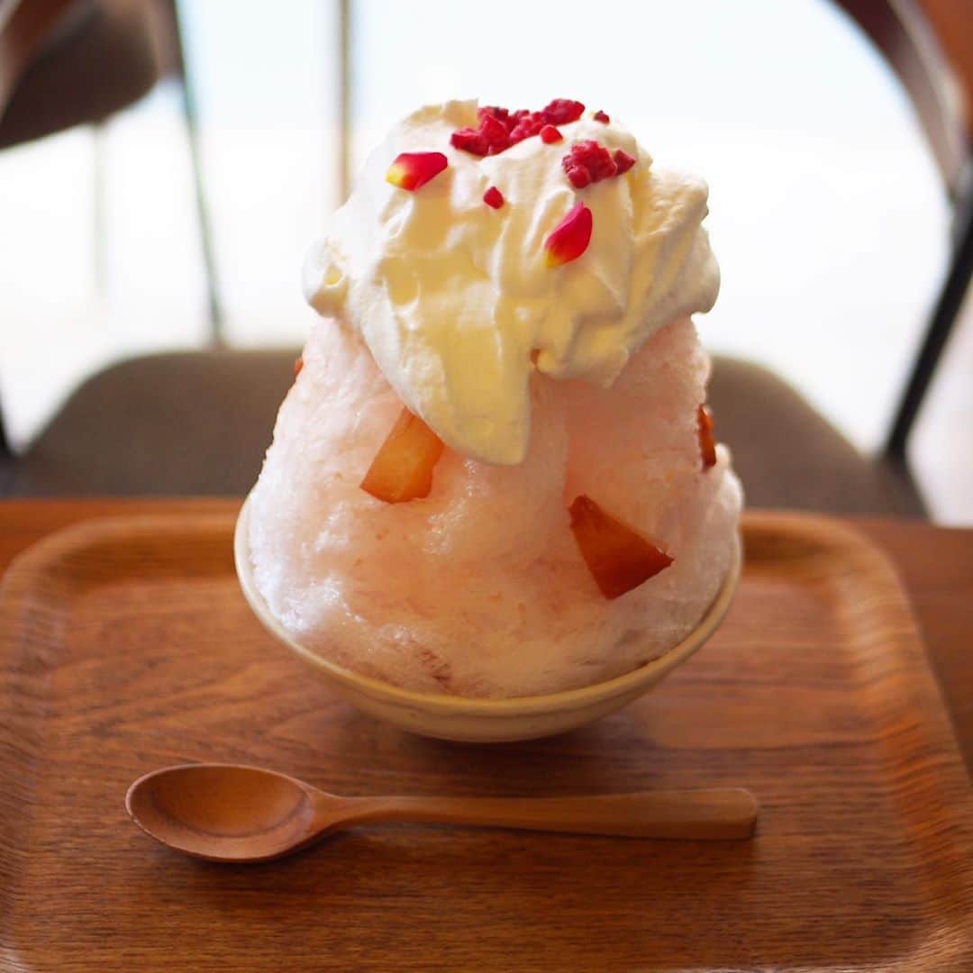 木村涼子のグルメインスタ