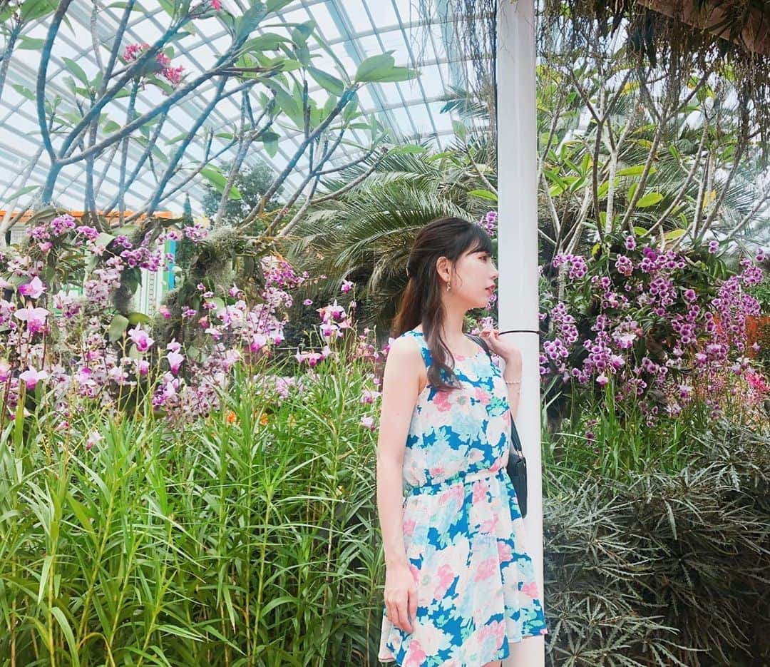 NAOさんのインスタグラム写真 - (NAOInstagram)「シンガポール行きたーい🇸🇬 * ガーデンバイザベイって楽園感すごいですよね。ラピュタみたいでした。 * #シンガポール #singapore #travelphotography #旅行 #ガーデンバイザベイ #gardenbythebay #インスタ映え #travel #カットモデル募集 #きれいになりたい #美容 #美容好きな人と繋がりたい #研修医 #医師 #女医 #美容好きな人と繋がりたい」8月16日 18時53分 - dr_nao_0415