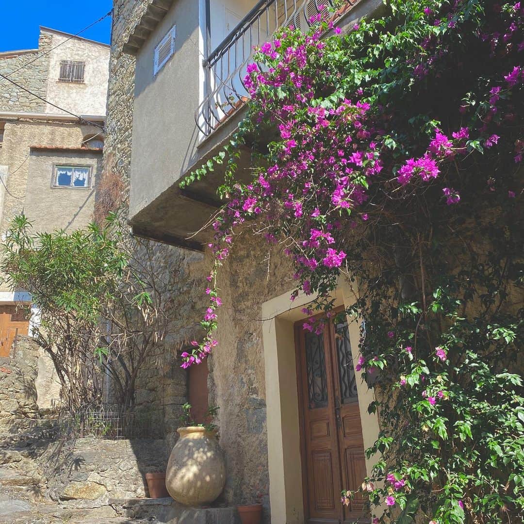 アデルさんのインスタグラム写真 - (アデルInstagram)「コルシカは海賊に攻められないよう、山の上に街を作っていたらしいく、小さな街が山の至るところに点在しているのだけれど、これがまた可愛い。  山の景色と石造りの家、ブーゲンビリアのバランスがとっても素敵。 #corse #village #コルシカ島 #山ライフ #フランスの田舎 #リストリ家の夏休み #vacances」8月16日 19時34分 - ader_eri