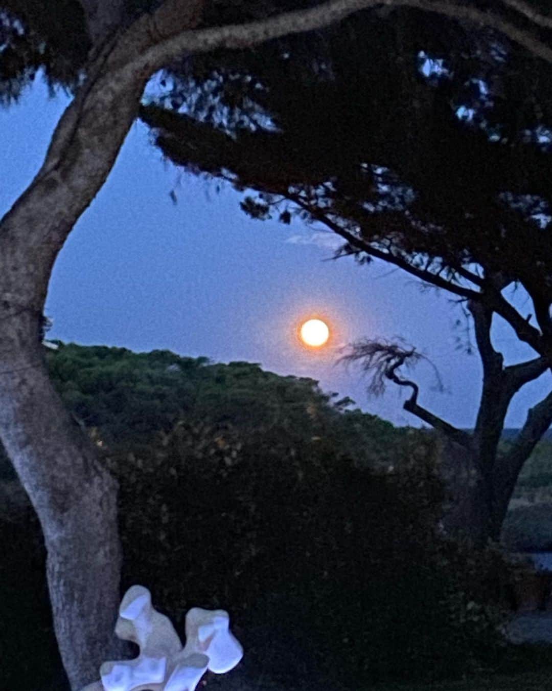 Jeanneのインスタグラム：「Passion pleine lune 🌝」