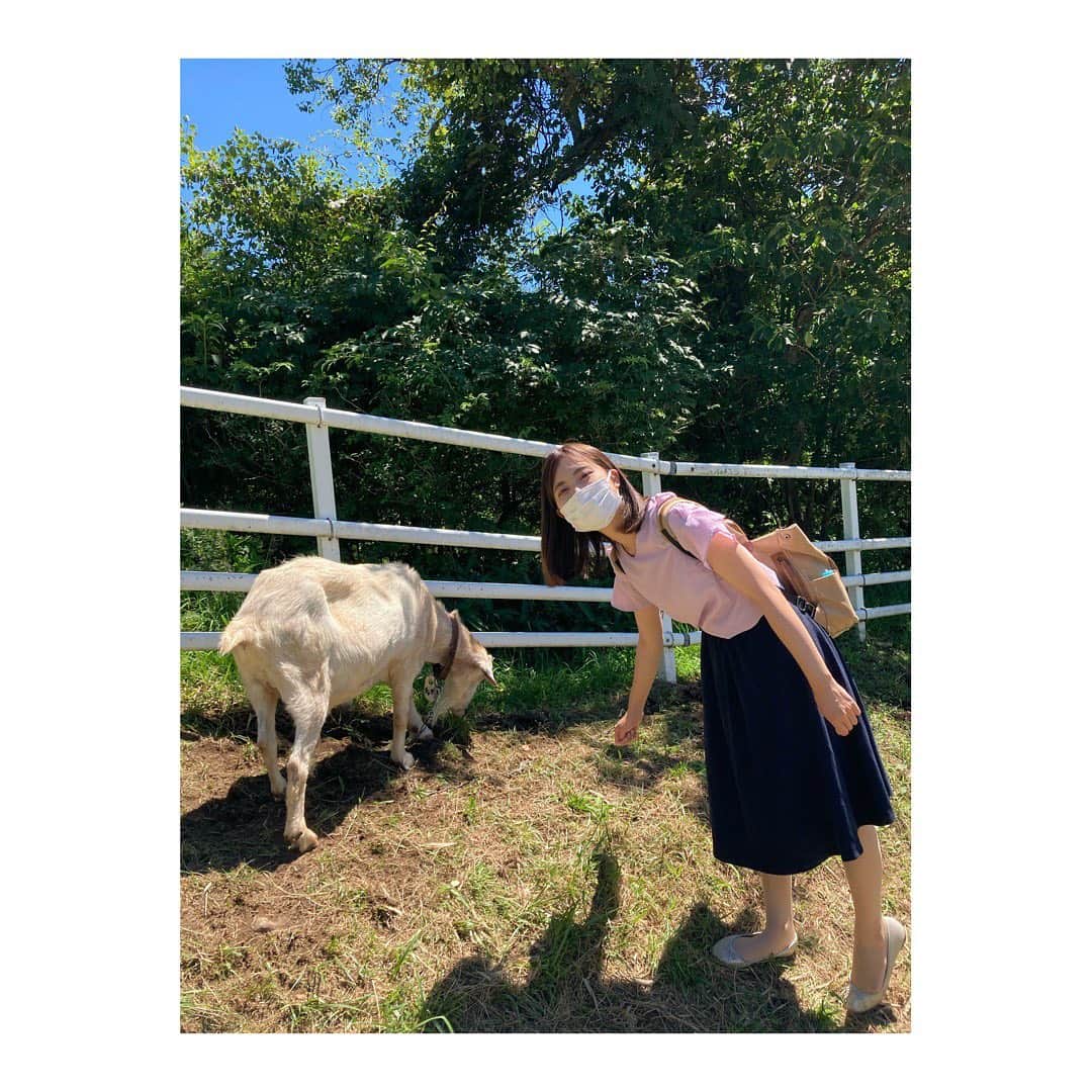 荒木美穂さんのインスタグラム写真 - (荒木美穂Instagram)「* もふもふのおしりが可愛い🐑 連日の暑さに、羊たちも日陰に集まりがちなご様子。 牧場の緑と、空の青がきれいでした〜 *  #とある休日」8月16日 19時42分 - mihokitty34