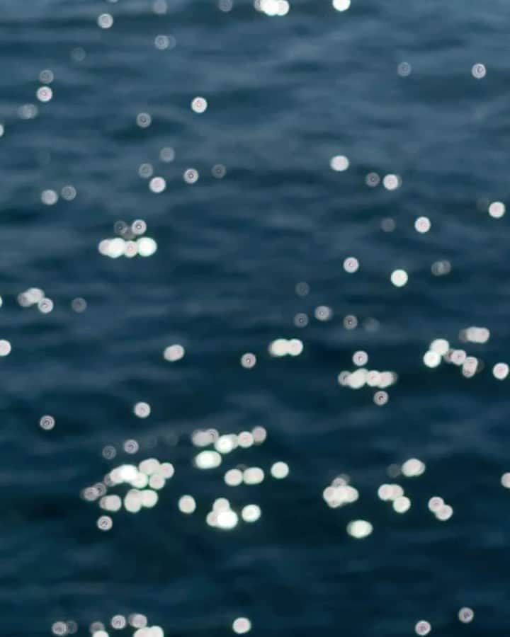 Mathilde Goehlerのインスタグラム：「So calming」