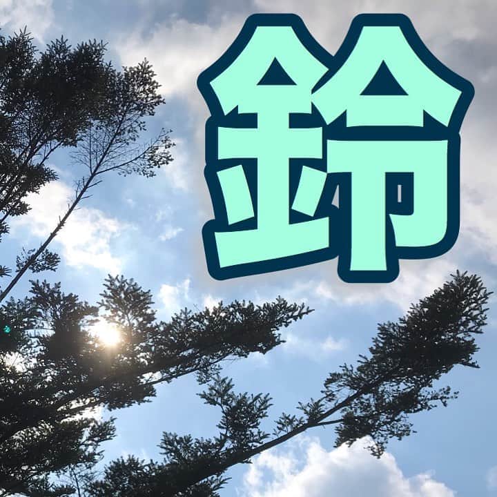 中野耕史のインスタグラム：「‪涼やかな音色♪‬  ‪音を表現した日本語‬  ‪YouTube新作UPしました🎥‬  ‪心を伝える日本語 #28 鈴 https://youtu.be/clknDoeBBdE @YouTubeより‬」