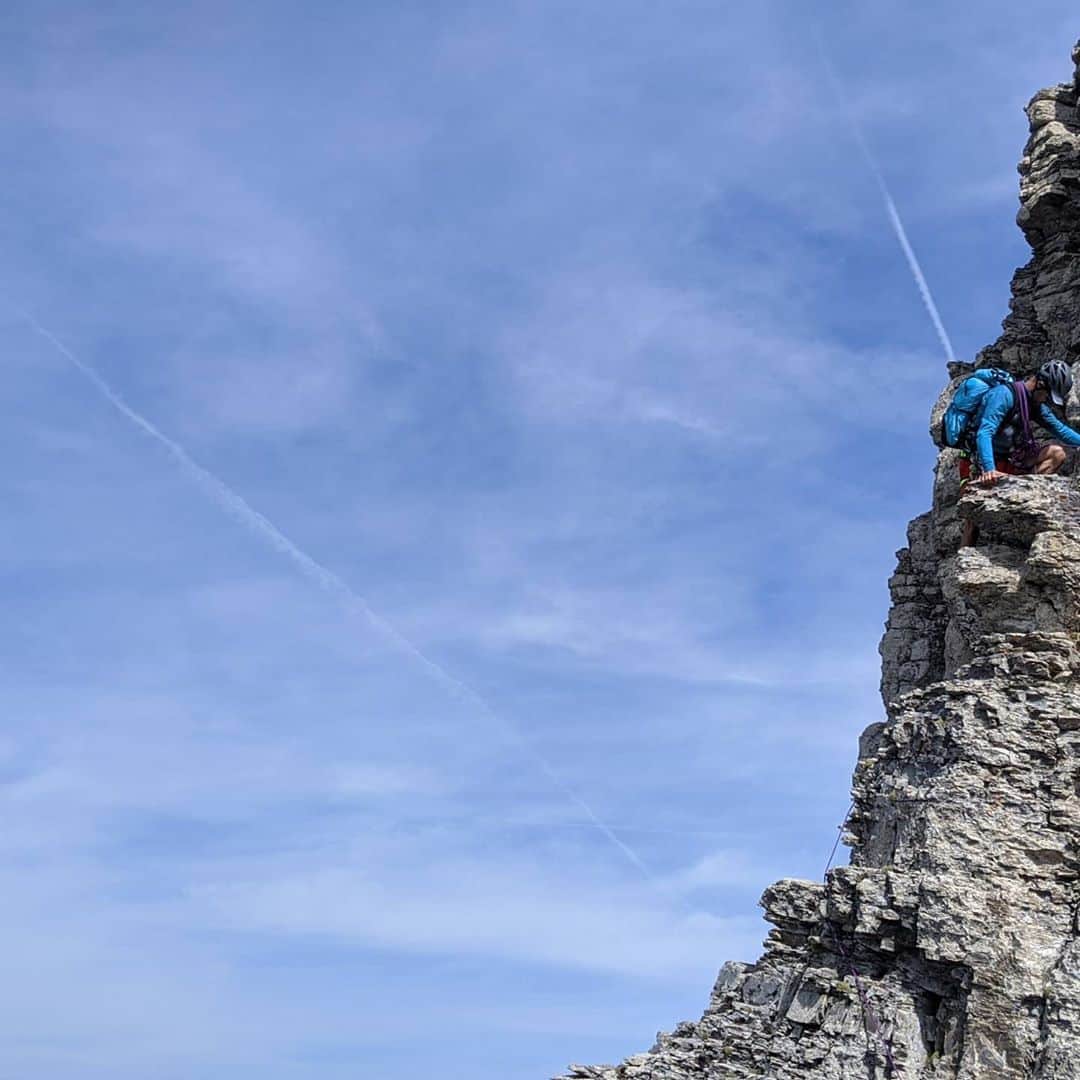 江本悠滋さんのインスタグラム写真 - (江本悠滋Instagram)「#hikeandfly #paragliding #aiguillerouge　#hiking #alpes  #dog」8月16日 20時31分 - emoto_yuji
