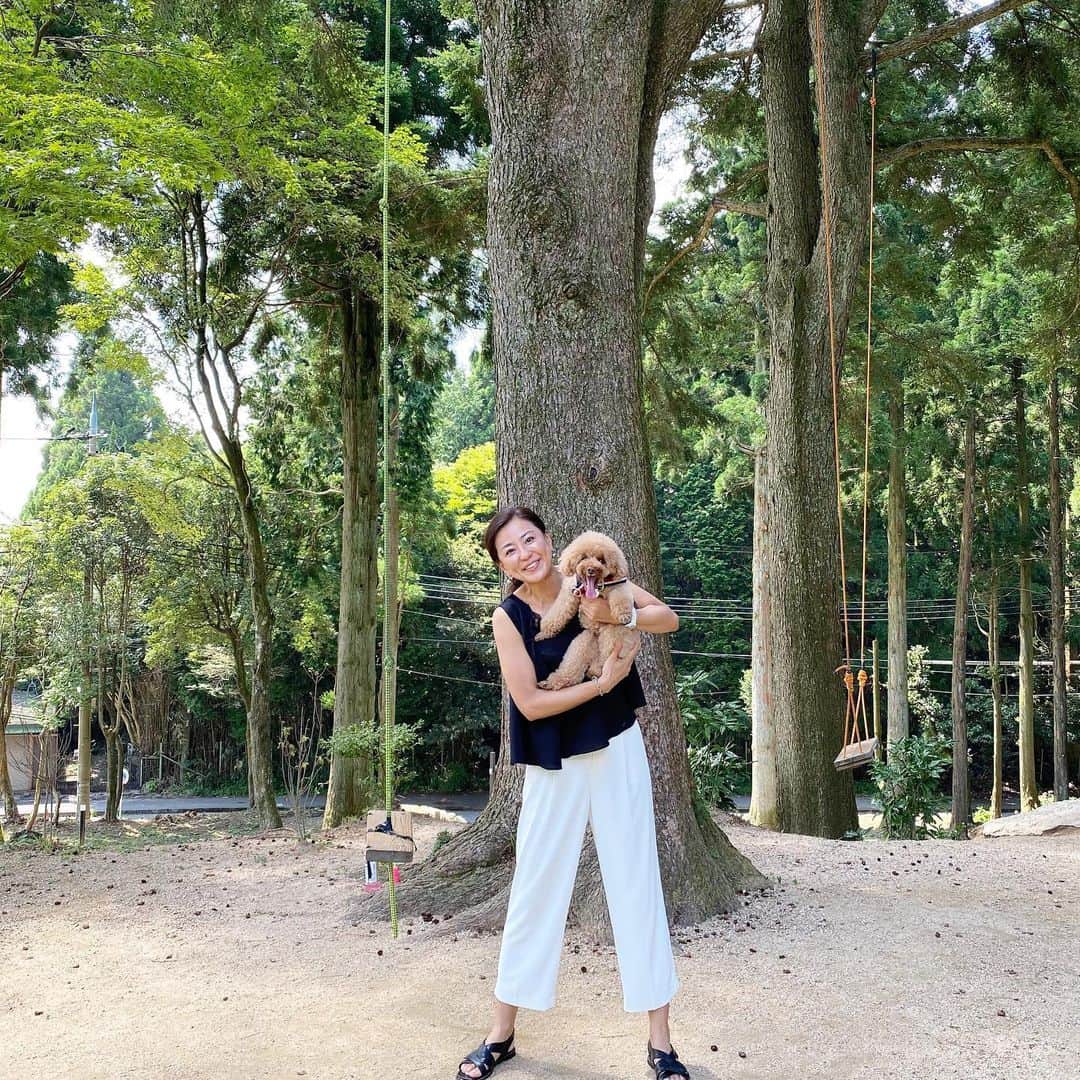 keikobun34さんのインスタグラム写真 - (keikobun34Instagram)「﻿ レイとお出掛け。﻿ ﻿ パパのお盆休み最終日、　﻿ ずっと行きたかった﻿ 653cafeに行ってきました。﻿ ﻿ 暑さを心配してましたが、﻿ 山頂は8℃以上涼しくて過ごしやすい‼︎﻿ 満席で予約できなかったから、﻿ 待つの覚悟で行ったけど、﻿ すぐに席に座れました‼︎﻿ ﻿ この暑さで芝生でのボール遊びが﻿ できなかったレイも、﻿ 思いっきり走り回れて﻿ 満足だったみたい♥︎﻿ ﻿ ﻿ #六甲#653カフェ﻿ #お散歩コーデ#ワンコとお出かけ ﻿ #犬とおでかけ ﻿ #大人カジュアル#シンプルコーデ﻿ #アラフィフ#アラフィフコーデ﻿ #アラフィフファッション﻿ #アラフィフママ #アラフィフモデル﻿ #アラフォー#アラフォーコーデ﻿ #アラフォーファッション﻿ #今日のコーデ﻿ #40代ファッション #40代コーデ﻿」8月16日 20時32分 - keikobun34