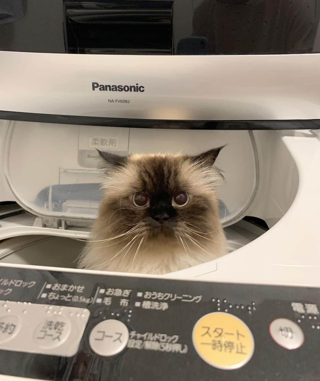 plumeのインスタグラム