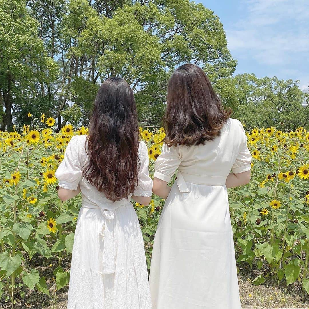 MERYさんのインスタグラム写真 - (MERYInstagram)「.⁣ ひまわり畑で元気で明るい気分に♪⁣ .⁣ お日様の方向に顔を向けているひまわりって見ているだけで元気をもらえる存在ですよね。場所によっては10月下旬までひまわりを楽しめるんだそう。お友達とコーデを合わせたり、白でまとめると写真映えしそうです。⁣ .⁣ .⁣ MERYでは他にも「かわいい」に近づくさまざまな情報を発信しています。⁣ @mery.beauty コスメ・美容に特化した情報をお届け♡⁣ @mery_spot 話題のカフェやお出かけスポットをご紹介！⁣ @_meryshop_  MERYセレクトの可愛いアイテムがたくさん⁣ こちらもぜひチェックしてみてください！⁣ .⁣ .⁣ photo by @this_is_nm⁣ .⁣ #MERY #regram #sunflower #sunflowers #해바라기그림 #해바라기 #코디 #패션 #패션피플 #ひまわり #ひまわり畑 #おでかけスポット #おでかけコーデ #白コーデ #白ワンピ #シミラールック #夏コーデ #夏の思い出 #向日葵 #向日葵畑 #お花畑 #お花畑コーデ #お花好きな人と繋がりたい #お花好き #お花好きと繋がりたい #夏の花 #お洒落 #お洒落さんと繋がりたい #MERY女子 #メリー」8月17日 8時00分 - mery.jp