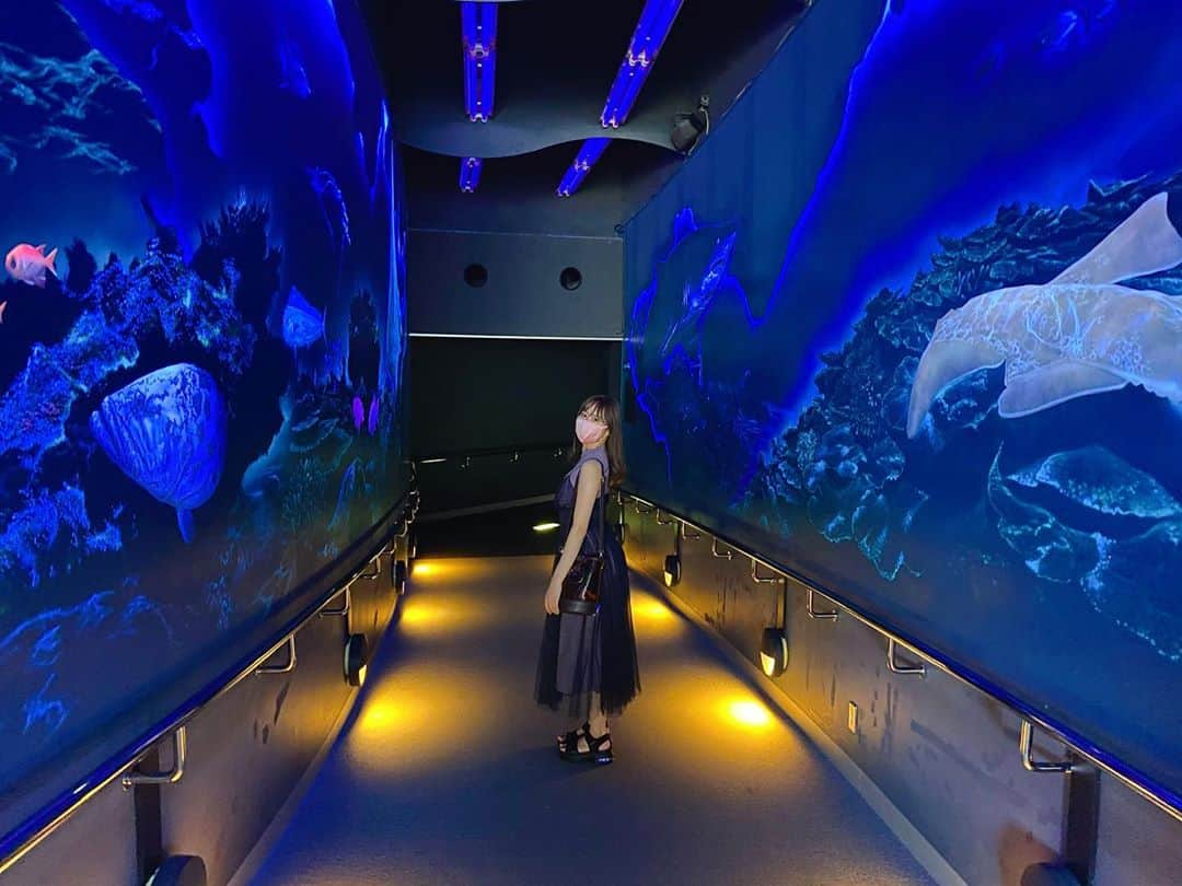 坂口理子さんのインスタグラム写真 - (坂口理子Instagram)「久しぶりな水族館でした🐠✨ . #甥っ子姪っ子と #喜んでた #叔母さん嬉しい  #マリンワールド海の中道  #マリンワールド #海の中道 #水族館 #魚のトンネル #あんまり見えてないけど #ワンピース #お気に入り  #mercuryduo」8月16日 23時15分 - ricopi__hkt48