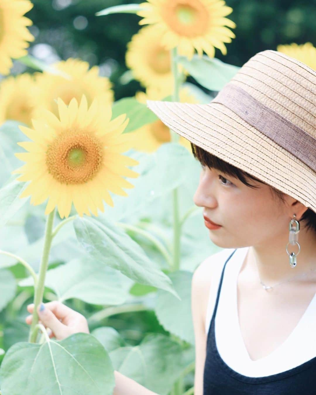 熊田和花さんのインスタグラム写真 - (熊田和花Instagram)「• #🌻 #向日葵 #sunflower 📷photo by @ayanadayo__」8月16日 23時21分 - wa_flower_