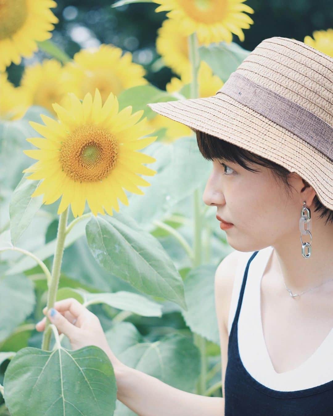 熊田和花さんのインスタグラム写真 - (熊田和花Instagram)「• #🌻 #向日葵 #sunflower 📷photo by @ayanadayo__」8月16日 23時21分 - wa_flower_