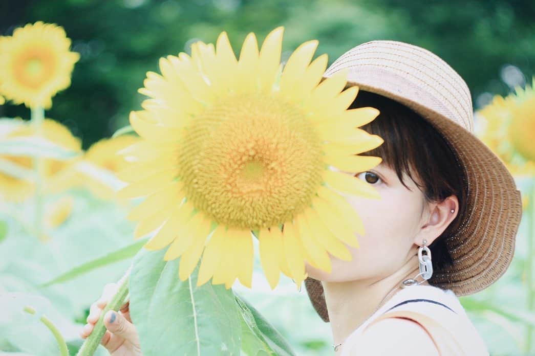 熊田和花さんのインスタグラム写真 - (熊田和花Instagram)「• #向日葵 #🌻」8月16日 23時34分 - wa_flower_