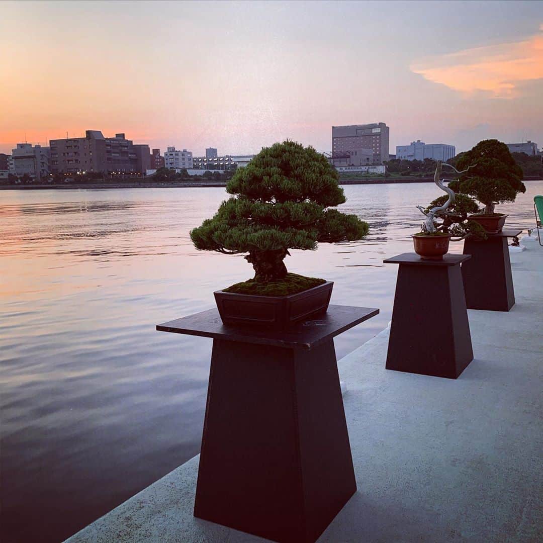 のインスタグラム：「盆栽と船 #大人の夏休み #boatparty」