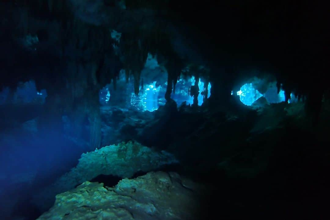 石黒エレナさんのインスタグラム写真 - (石黒エレナInstagram)「. #2ojo #2ojos #2ojoscenote #cavediving #mexico #méxico #diving #メキシコ #メキシコ旅行 #カンクン #セノーテ #セノーテダイビング #セノーテドスオホス #ケーブダイビング」8月17日 0時36分 - 08elena05