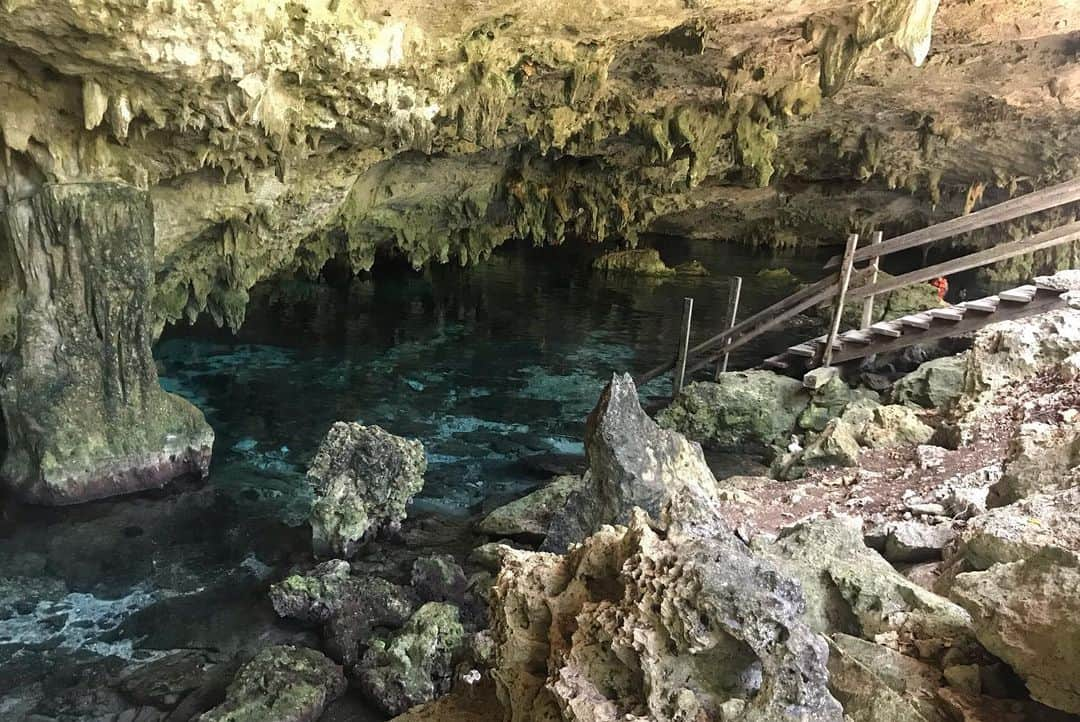 石黒エレナさんのインスタグラム写真 - (石黒エレナInstagram)「. #2ojo #2ojos #2ojoscenote #cavediving #mexico #méxico #diving #メキシコ #メキシコ旅行 #カンクン #セノーテ #セノーテダイビング #セノーテドスオホス #ケーブダイビング」8月17日 0時36分 - 08elena05