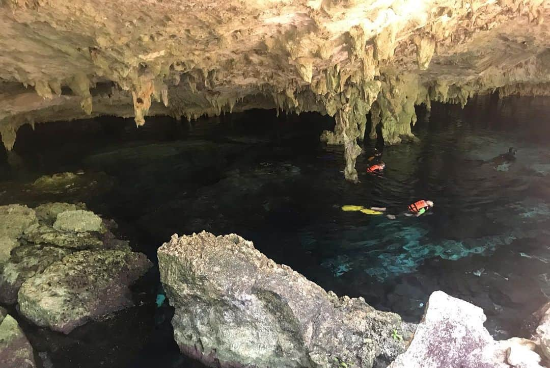 石黒エレナさんのインスタグラム写真 - (石黒エレナInstagram)「. #2ojo #2ojos #2ojoscenote #cavediving #mexico #méxico #diving #メキシコ #メキシコ旅行 #カンクン #セノーテ #セノーテダイビング #セノーテドスオホス #ケーブダイビング」8月17日 0時36分 - 08elena05