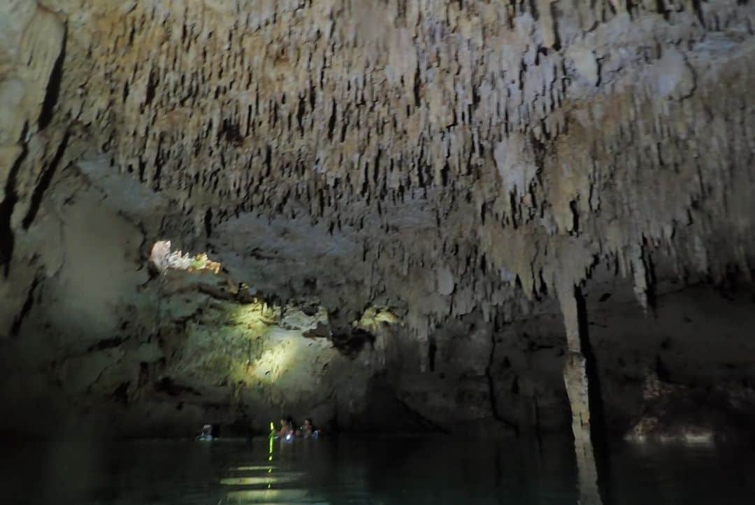 石黒エレナさんのインスタグラム写真 - (石黒エレナInstagram)「. #2ojo #2ojos #2ojoscenote #cavediving #mexico #méxico #diving #メキシコ #メキシコ旅行 #カンクン #セノーテ #セノーテダイビング #セノーテドスオホス #ケーブダイビング」8月17日 0時36分 - 08elena05