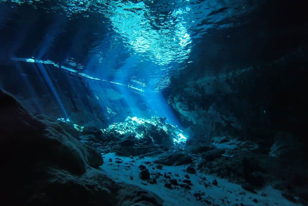 石黒エレナさんのインスタグラム写真 - (石黒エレナInstagram)「. #2ojo #2ojos #2ojoscenote #cavediving #mexico #méxico #diving #メキシコ #メキシコ旅行 #カンクン #セノーテ #セノーテダイビング #セノーテドスオホス #ケーブダイビング」8月17日 0時36分 - 08elena05