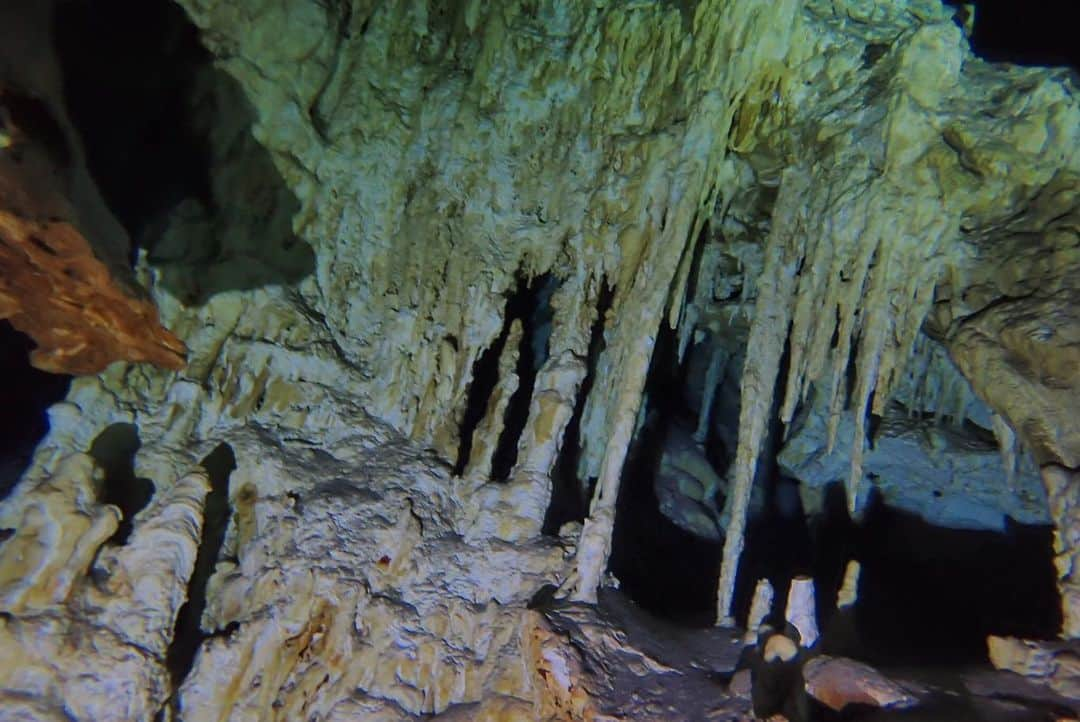 石黒エレナさんのインスタグラム写真 - (石黒エレナInstagram)「. #2ojo #2ojos #2ojoscenote #cavediving #mexico #méxico #diving #メキシコ #メキシコ旅行 #カンクン #セノーテ #セノーテダイビング #セノーテドスオホス #ケーブダイビング」8月17日 0時36分 - 08elena05