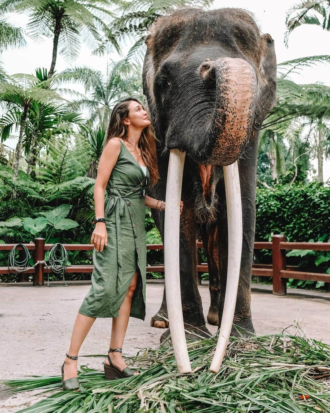 ルナ・マヤさんのインスタグラム写真 - (ルナ・マヤInstagram)「Dumbo lovers 🥰 #bali #love #animal  @masonadventuresbali @travelsecrets.id」8月17日 1時03分 - lunamaya