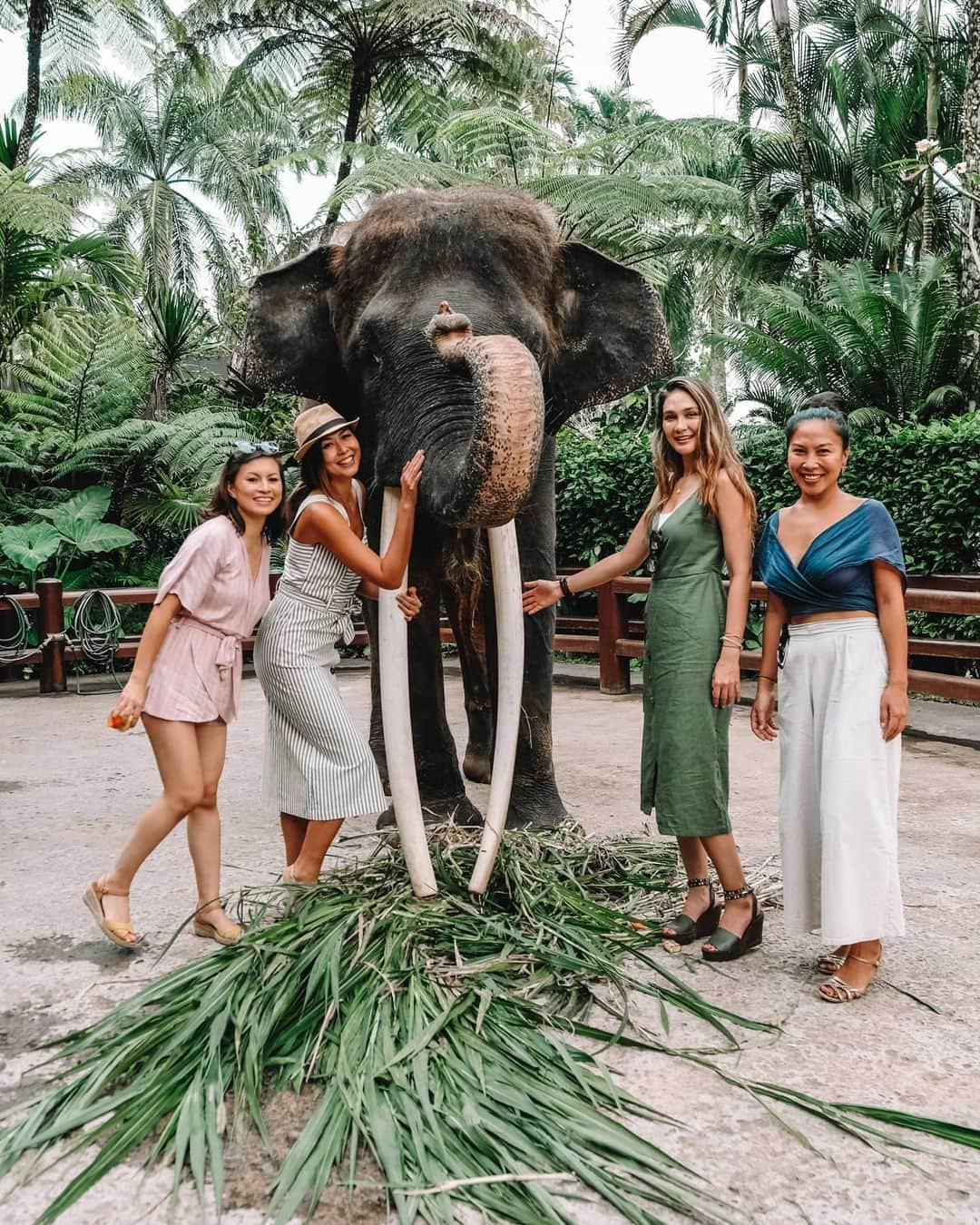 ルナ・マヤさんのインスタグラム写真 - (ルナ・マヤInstagram)「Dumbo lovers 🥰 #bali #love #animal  @masonadventuresbali @travelsecrets.id」8月17日 1時03分 - lunamaya