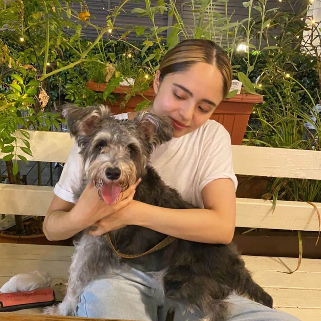 のインスタグラム：「可愛いわんちゃん💕 来年は1人暮らしするからわんちゃんも良いけど猫ちゃん里親で引き取りたいと思ってる☺️ 動物って心や身体を癒してくれる力があるんだよー😌凄いよね❣️ 動物って偉大だと思う🙏✨だからペットショップじゃなくて里親探してる困った子を飼いたい😊海外ではそれが普通だったりするんだよ^_^ ペットショップのほとんどは純粋で可愛い命を乱雑に扱ってる所ばかりだから私たちの選択次第でそれを無くすことが出来る😌その事実を意外と知らない人が多いんだけどね😔 いつか動物と人間が平等でハッピーな世界になってくといいなー」
