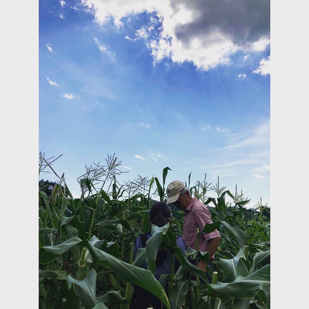 journaleatripのインスタグラム：「summer vacation  本当の休み . 這うようにして山に来て 時間気にせず1日汗をかく。 収穫の目玉は3種類の大根！ ジャガイモは種芋から根つけ、 花も全て咲き100%の収穫かと思いきや長雨で親指大の大きさにしかならず。 チチがっくし。 .  . な　つ　や　す　み」