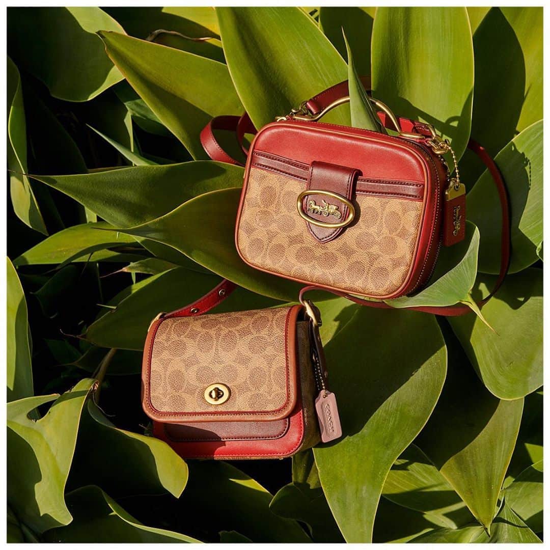 のインスタグラム：「Where’s your favorite spot to soak up summer? #CoachNY」