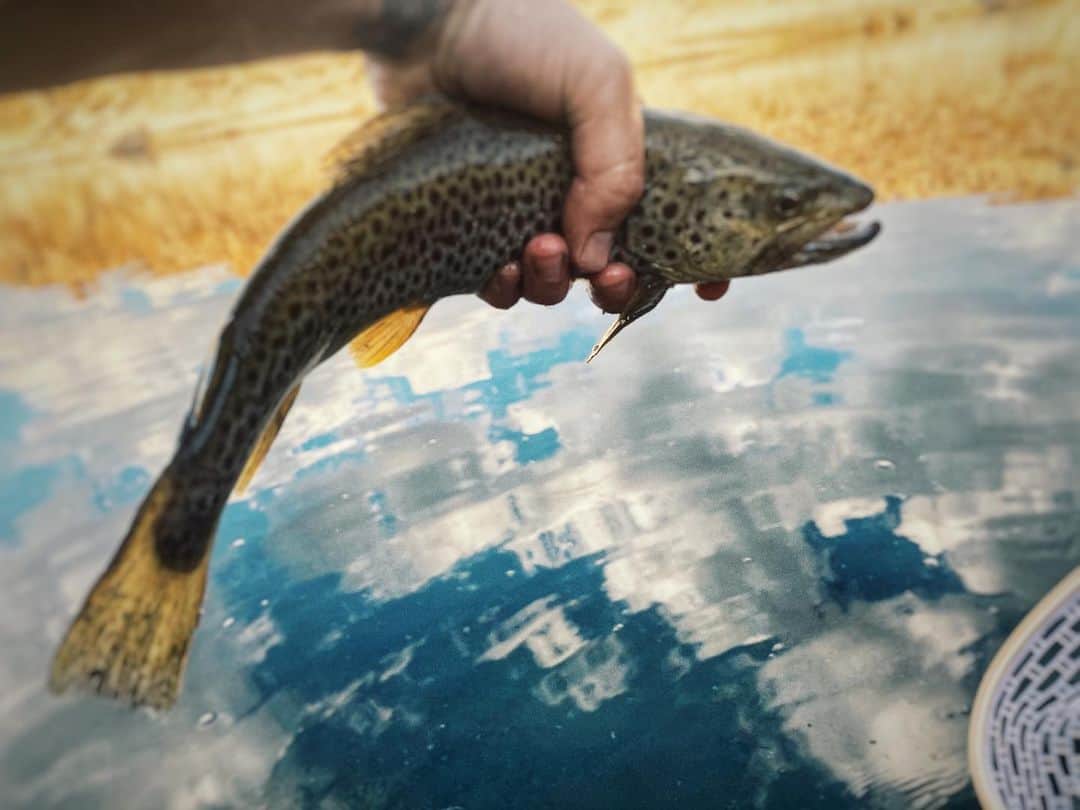 ジョシュ・スチュワートのインスタグラム：「the sky was in the water and the browns were flying   #unfailinggoods  #orvisflyfishing  #onelife  #fishitwell」