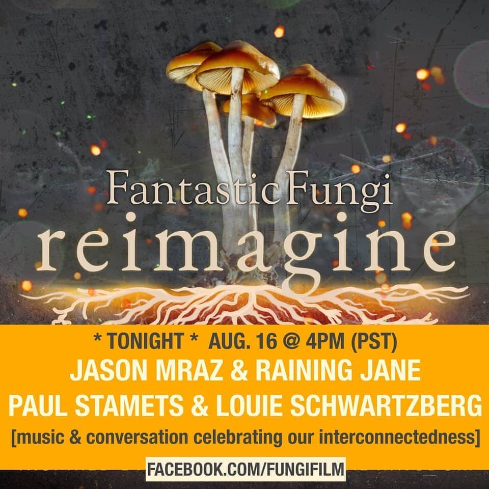 ジェイソン・ムラーズのインスタグラム：「Today on FB at 4pm PST. Music & conversation celebrating our Interconnectedness! • Also @fantasticfungi is now playing on @appletv • Plus - our new song Disco Sun is streaming on the Fantastic Fungi Reimagine album benefiting the advancement of the magical mycelium network!」
