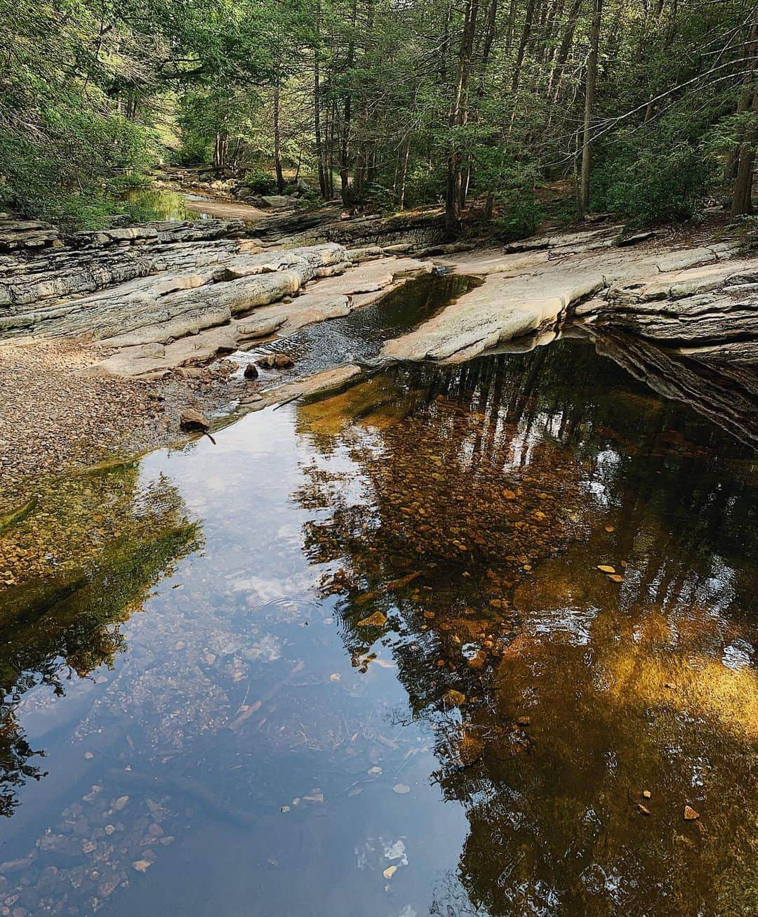 テイラー・ペンバートンさんのインスタグラム写真 - (テイラー・ペンバートンInstagram)「Y’all ever just take a hike?」8月17日 5時52分 - pemberton