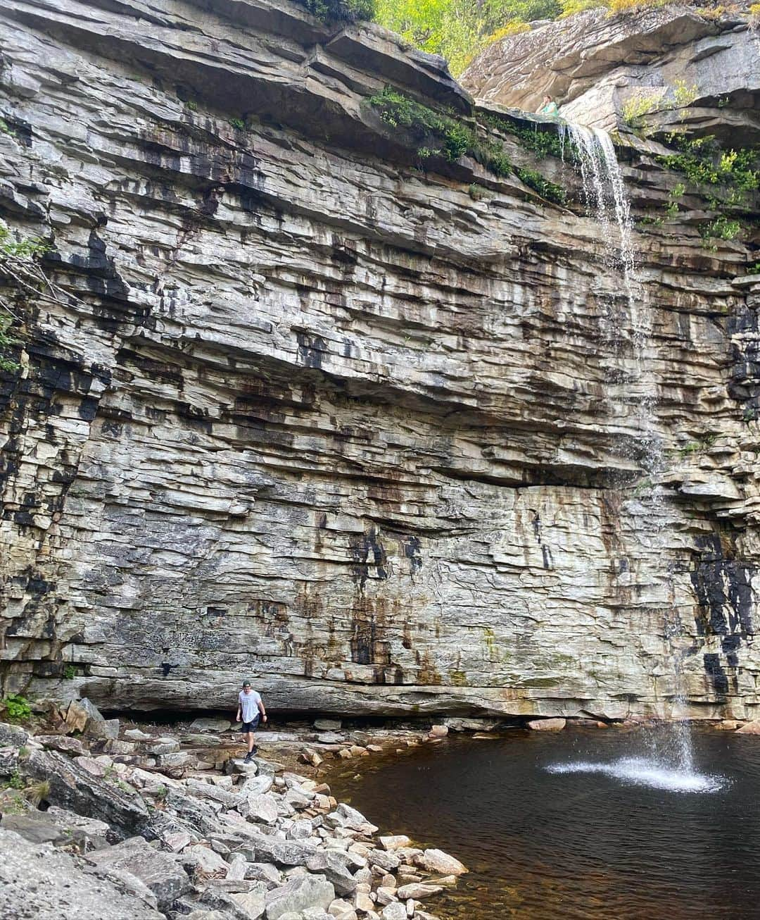 テイラー・ペンバートンさんのインスタグラム写真 - (テイラー・ペンバートンInstagram)「Y’all ever just take a hike?」8月17日 5時52分 - pemberton