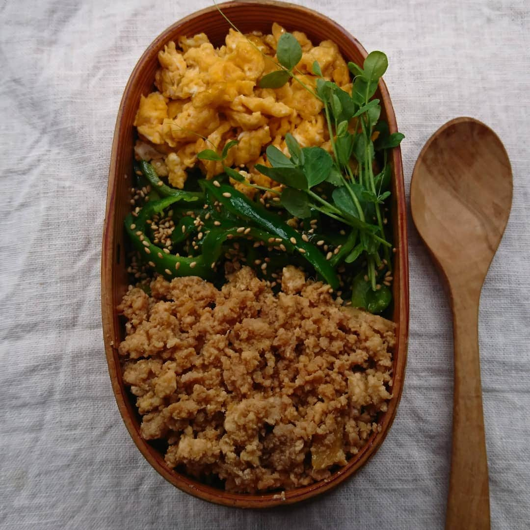 aomojiさんのインスタグラム写真 - (aomojiInstagram)「今日のお弁当  三色丼 鶏肉胸ミンチとササミミンチ生姜たっぷりそぼろ ピーマン塩炒めいりごま和え 豆苗 炒り玉子 押し麦入りご飯(酢飯)  2020*7*24 ⛅☁️  #お弁当#そぼろ弁当 #のせ弁当 #簡単弁当#サラメシ弁当#三色丼#日々の暮らし #わっぱ弁当箱 #男子弁当 #obento#lunchbox #Japaneseobento #foodvsco #foodstagram #家庭料理 #cooking #linstagram #life#everyday #dauna#onthetable #aomojibento」7月24日 14時29分 - aomoji