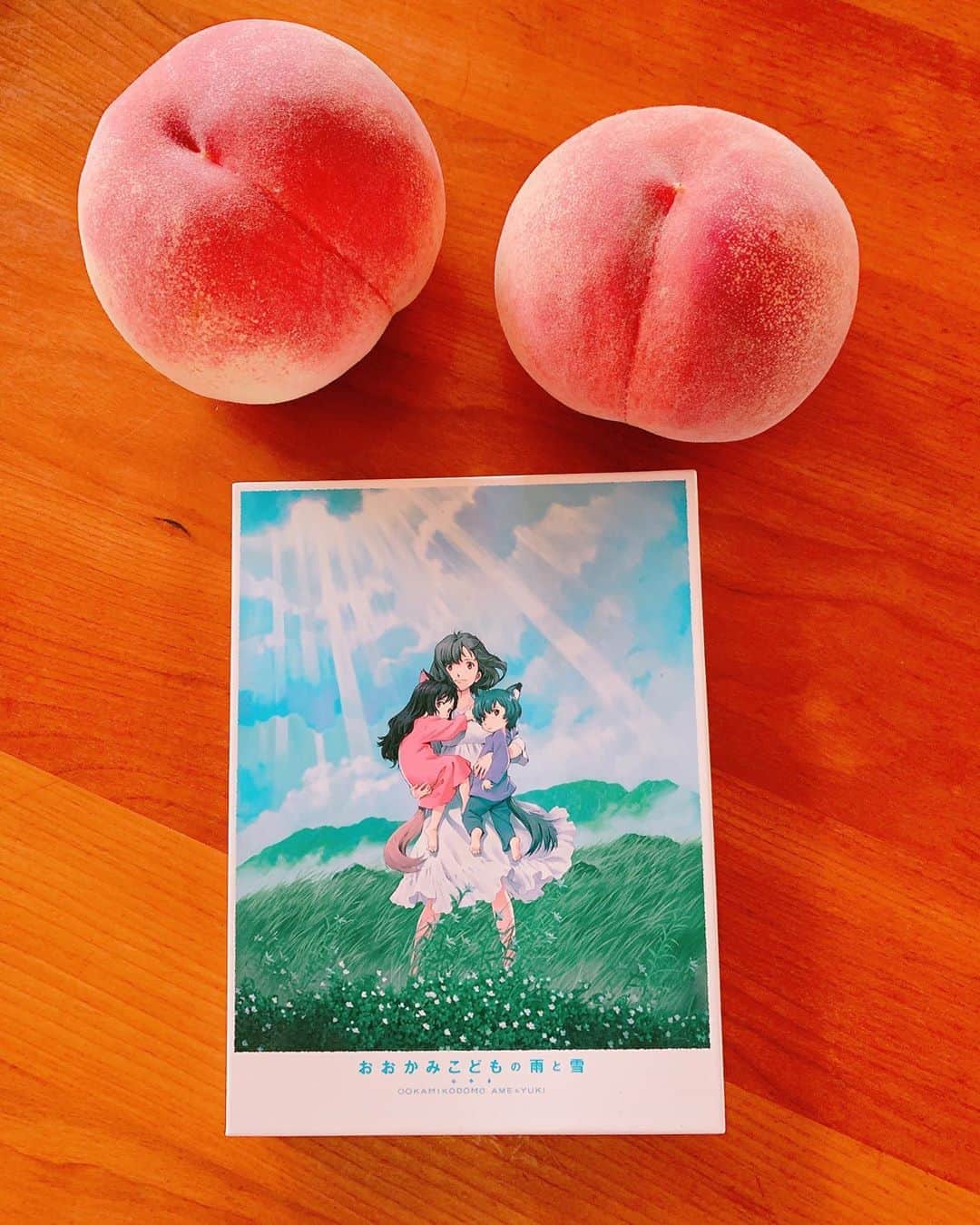石田ひかりのインスタグラム