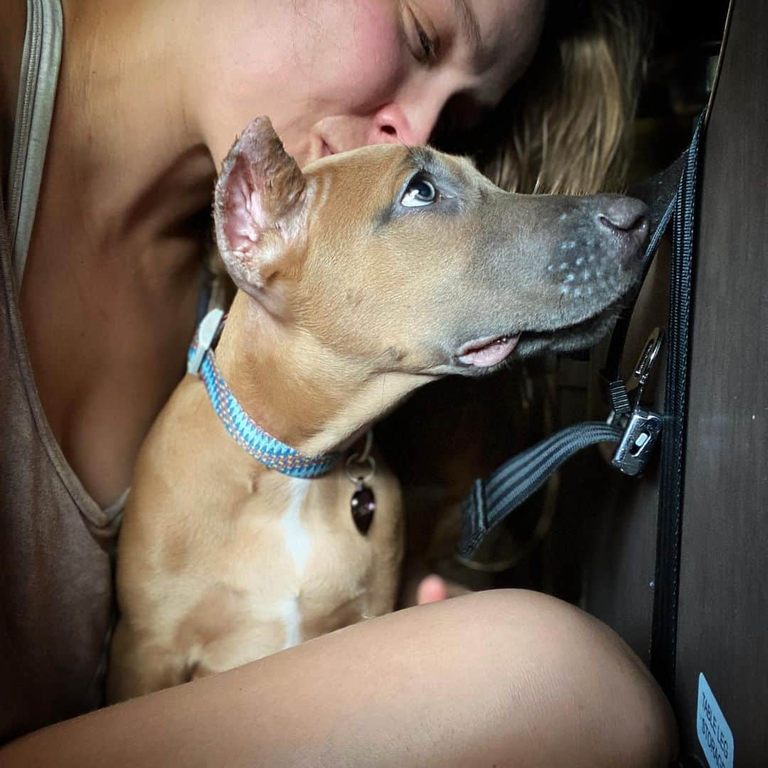 ロンダ・ラウジーさんのインスタグラム写真 - (ロンダ・ラウジーInstagram)「Aloy 😍❤️🐶 #canispanther」7月24日 6時54分 - rondarousey