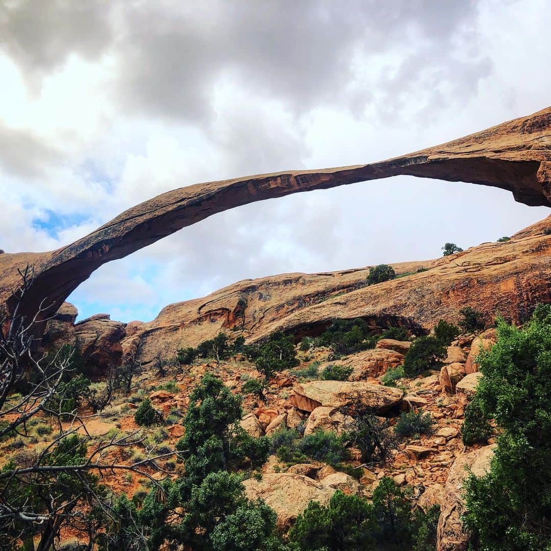 サッシャ・ロイズさんのインスタグラム写真 - (サッシャ・ロイズInstagram)「Arches Arches Glorious Arches. #hike #adventure #utah #nationalparks #thecovidtour」7月24日 7時23分 - mrsasharoiz