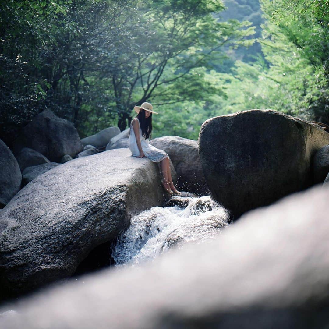 haraoのインスタグラム：「early summer - - - #いつか見た夢の中で #vsco#hasselblad #ハッセルブラッド #filmphotography#analog#oldlens#cinematography#GPW_members_only#as_archive#into_the_screen#indies_gram#indy_photolife#screen_archive#curbonjp#cinesomnia#photocinematica#realismag#analoguepeople#analoguevibes#被写体募集 . #Instagram#InstagramJapan#tokyocameraclub#reco_ig#jp_mood#オールドレンズ#オールドレンズに恋をした#儚くて何処か愛おしい様な」