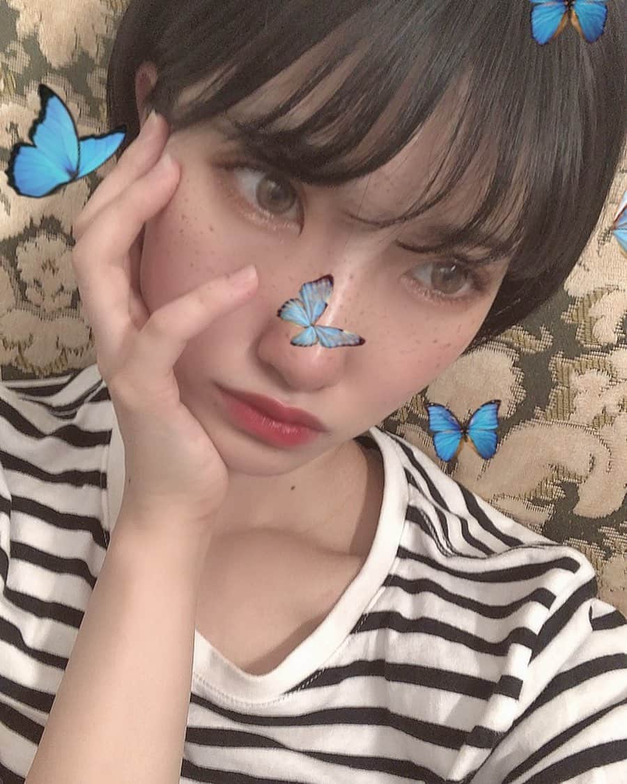 東条蒼のインスタグラム：「＊ ・ ・ ・ ちょうちょさんの加工、 どちゃくそ別人になるね🦋 ・ ・ ・ 柄柄でひどい絵だ、、 ・ ・ ・  #東条蒼 #クルーズグループ #セクシー女優 #av女優 #メガネ女子 #黒髪 #ショートヘア #あおたん　#teamメレンゲ #followｍe #following #japan #girl #photooftheday #tagsforlikes #instalike  #台湾 #香港 #粉我 #拍照 #照片 #人像攝影」