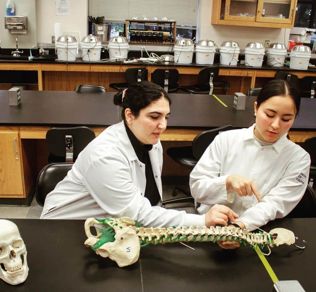 ミコ・フォガティのインスタグラム：「#throwback to the times before COVID when we could learn in a non-virtual classroom 🦠 💀  . Can anyone guess the name of the bone we are pointing to? (hint: C1) 🦴 #anatomy」