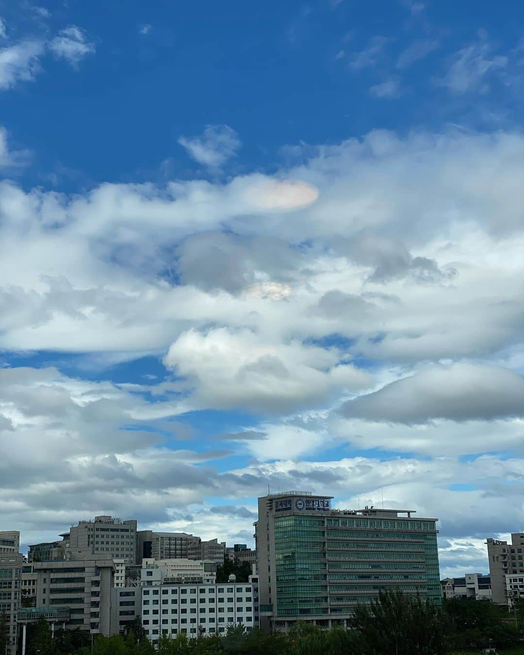 アン・ソニョンさんのインスタグラム写真 - (アン・ソニョンInstagram)「#비온뒤하늘☁️ 💎 . . . 진심 어제는 무섭게 쏟아져내리더니, 또 이리 맑아지는 하늘,  우리네 인생같기도 하구요..  . . . 자연앞에서 우린 한낯 작은 먼지 같은 존재라는것을 또 느낍니다👐🏻 . . 어제 부산에 폭우로 피해입으신곳 많으신것 같아 너무 걱정스럽네요.  부디 다들 무사히, 건강히, 더 이상의 비피해없이 잘 넘어가길 빕니다🙏🏻 . . . 아침부터 정신없이 30분 단위의 논스톱 미팅 연속중에서도 , 너무 반가운 #한국장애인재단 팀들의 방문(더 열심히 뛰라고 야다 #footspray👣 선물로 줬어요 흐흐흐😁😁😁)과 , (심수형팀장님이 사다주신 #위캔쿠키 는 장애인들이 만드는 #착한쿠키 라니 더더더 달콤하네요❤️)  . . 또 #sbs라디오  DJ시절 소중한 인연으로 남은 동생들의 방문으로 맘이 몽글몽글해진 하루네요✨ . . . . #온라인러브바자 에서 단한번 이라도 물건을 구매하신분은 #착한소비 #착한기부 로 #장애예체능학생장학성금 #봄꿈프로젝트 를 후원하고 계시는 겁니다.  . . . #감사합니다🙏  . . . . #바로스라이프💛  #바로스와친구들💕」7月24日 15時58分 - anney_an_love