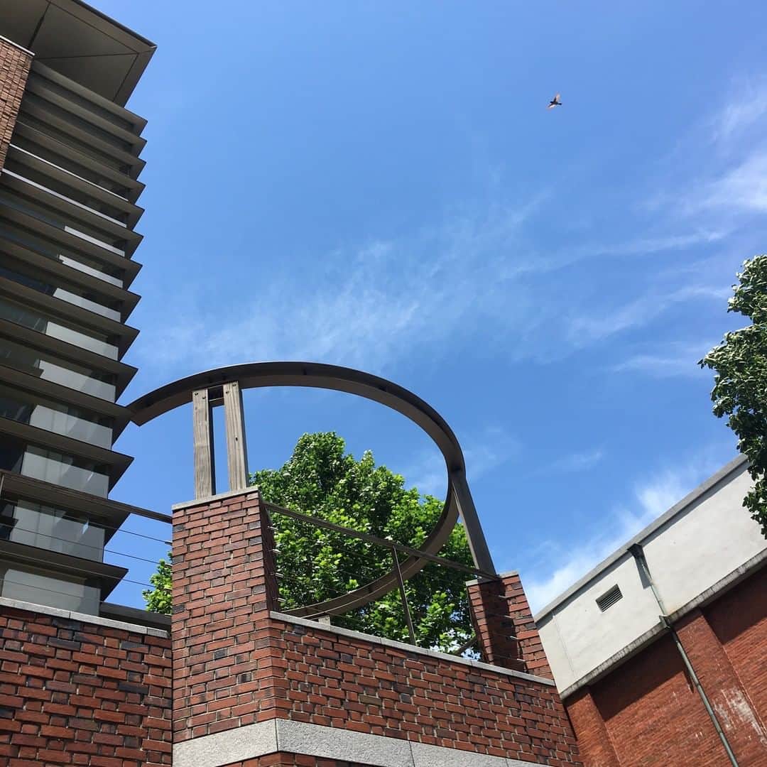 のインスタグラム：「#rikkyouniversity #立教 #立教大学 #ikebukuro #池袋 #coregraphy #photography #ファインダー越しの私の世界」