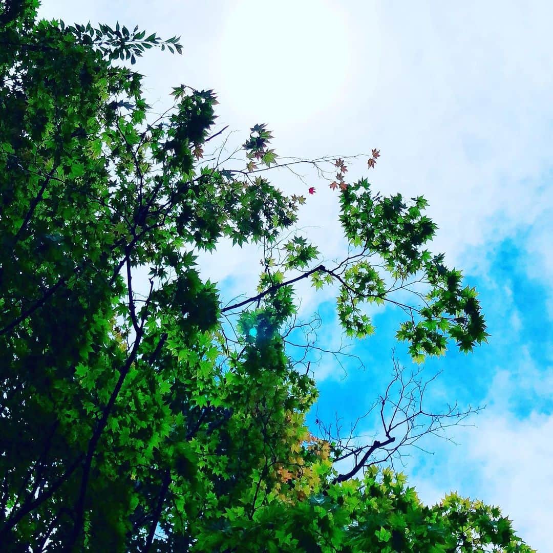 脇田唯のグルメインスタ