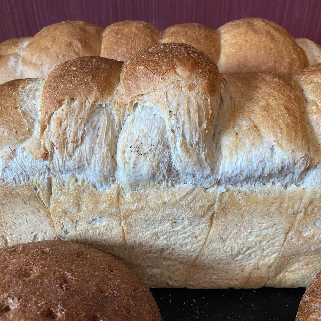 魔女菅原のグルメインスタ