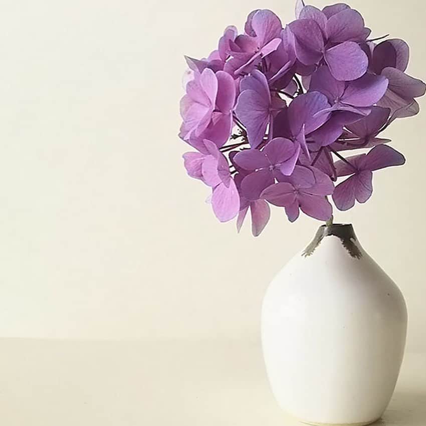 手紙社さんのインスタグラム写真 - (手紙社Instagram)「【手紙社オンラインショップ:シンプルな花器こそが、花を美しく魅せるのです】 花器をひとつだけ持つならば、シンプルなものがおすすめです。四季折々花は移り変わるもの。庭のグリーンも、お祝いのお花も、ドライフラワーも、どんな花にも似合うものがあると嬉しいですよね。  花器だけだと一見寂しく見えるかもしれませんが、そこは引き算の美。花と組み合わさったとき、美しく映えるようにと計算されているのです。  手のひらサイズの豆花器は、どんなところにでも飾りやすいのも嬉しいポイント。テーブルの隅、棚の上、窓のそば。夏に育ちすぎてカットしたグリーンや、大きな花束からこぼれた一輪、散歩中に見かけた野花さえも、魅力的に見せてくれる魔法のアイテムなのです。  ▶︎詳しくは @tegamisha_onlineshop　プロフィールのリンク「手紙社オンラインショップ」＞「オンライン豆皿・豆花器市」バナーからご覧いただけます . #手紙社#手紙舎#tegamisha#TEGAMISHA#手紙社オンラインショップ#オンライン豆皿市#kinokipottery#toukian#ミヤマリカ#圭秀窯#手紙社オンラインショップで買えます」7月24日 13時03分 - tegamisha