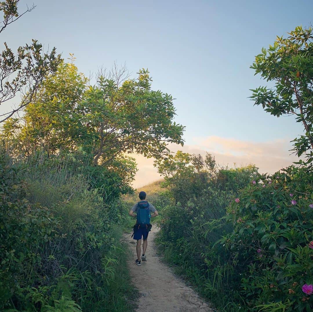 レスレイ・チアンさんのインスタグラム写真 - (レスレイ・チアンInstagram)「5am Sunrise Hike 🌅 Just the 3 of us 💖 What a beautiful morning... now back to the #StayHome life!!  I love you @noahandgrey  #sunrise #hiking #hongkong #furbaby」7月24日 13時13分 - lesleychianglove