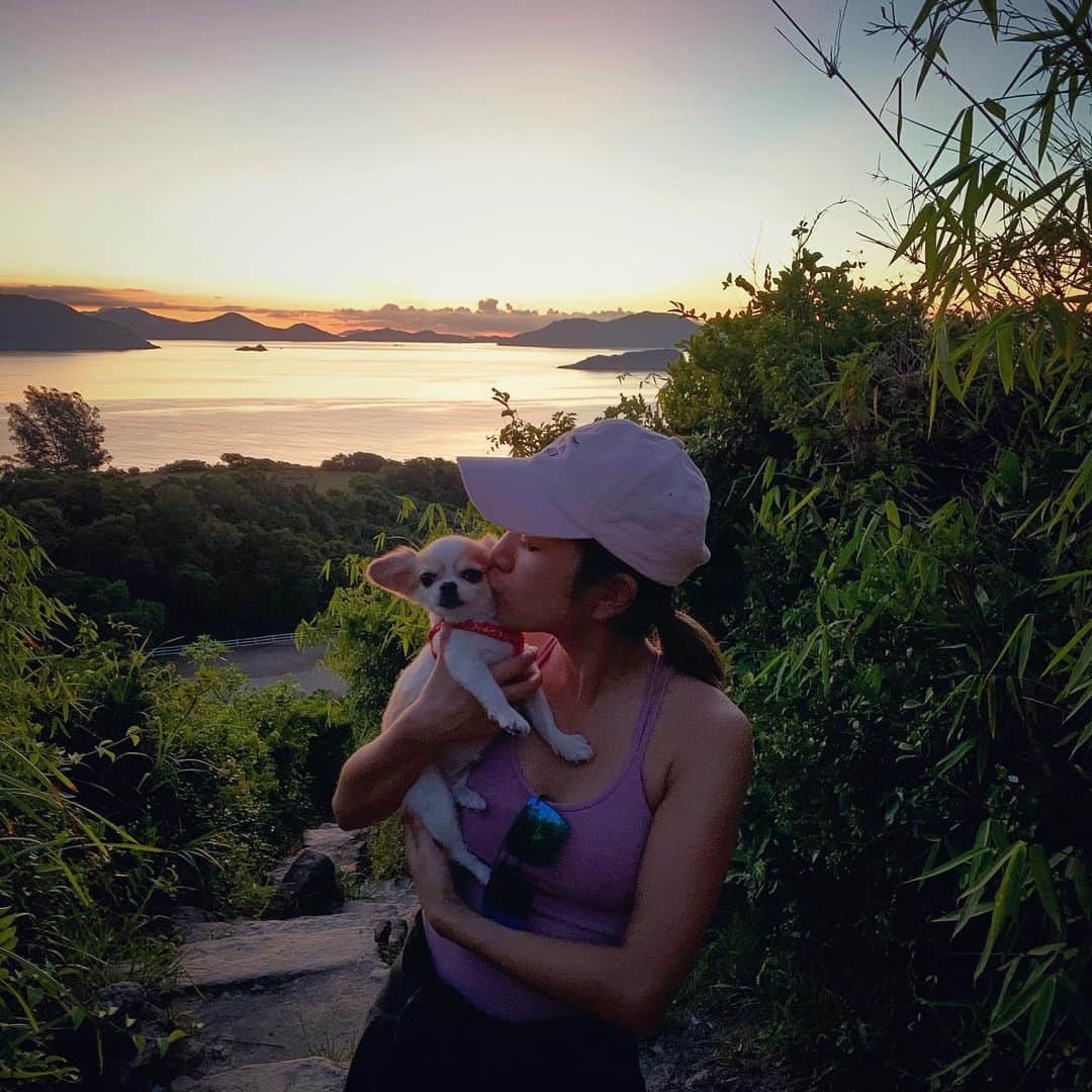 レスレイ・チアンさんのインスタグラム写真 - (レスレイ・チアンInstagram)「5am Sunrise Hike 🌅 Just the 3 of us 💖 What a beautiful morning... now back to the #StayHome life!!  I love you @noahandgrey  #sunrise #hiking #hongkong #furbaby」7月24日 13時13分 - lesleychianglove