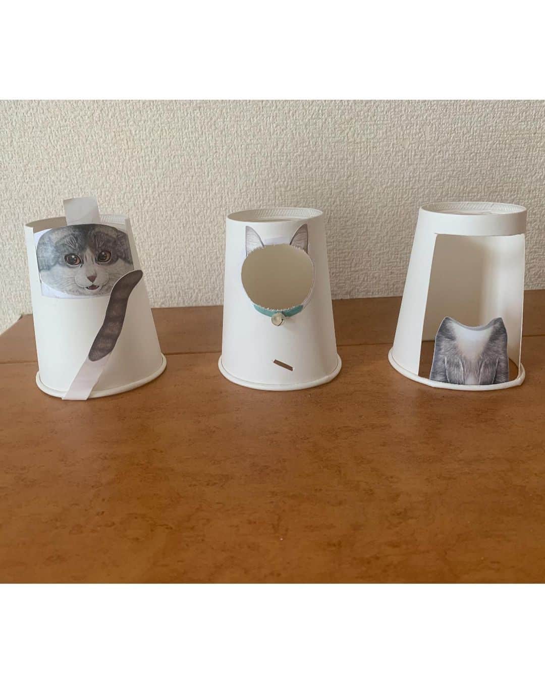 しんらしんげさんのインスタグラム写真 - (しんらしんげInstagram)「紙コップで作ったねこさんです。 papercup cat  #にゃー　#cat」7月24日 13時22分 - shin.2580