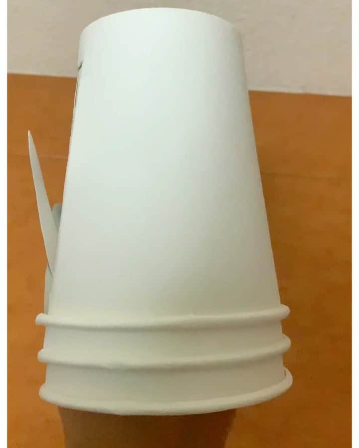 しんらしんげのインスタグラム：「紙コップで作ったねこさんです。 papercup cat  #にゃー　#cat」