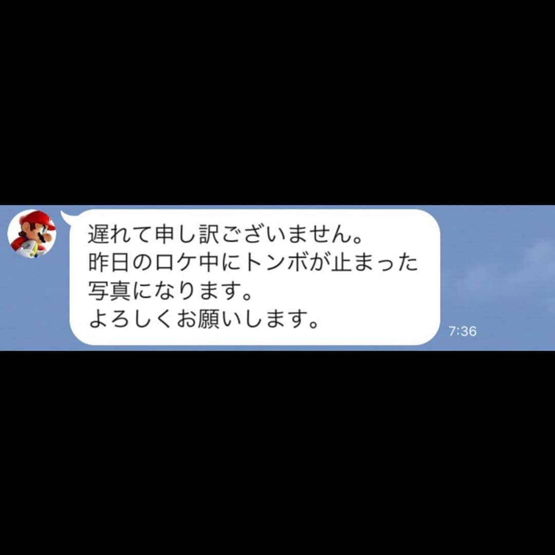 千原ジュニアさんのインスタグラム写真 - (千原ジュニアInstagram)「朝の7時半に新人マネージャーから送られてきたメール。 何やそれ⁉︎ 俺、遊ばれてんのかなぁ？」7月24日 13時23分 - chihara_jr