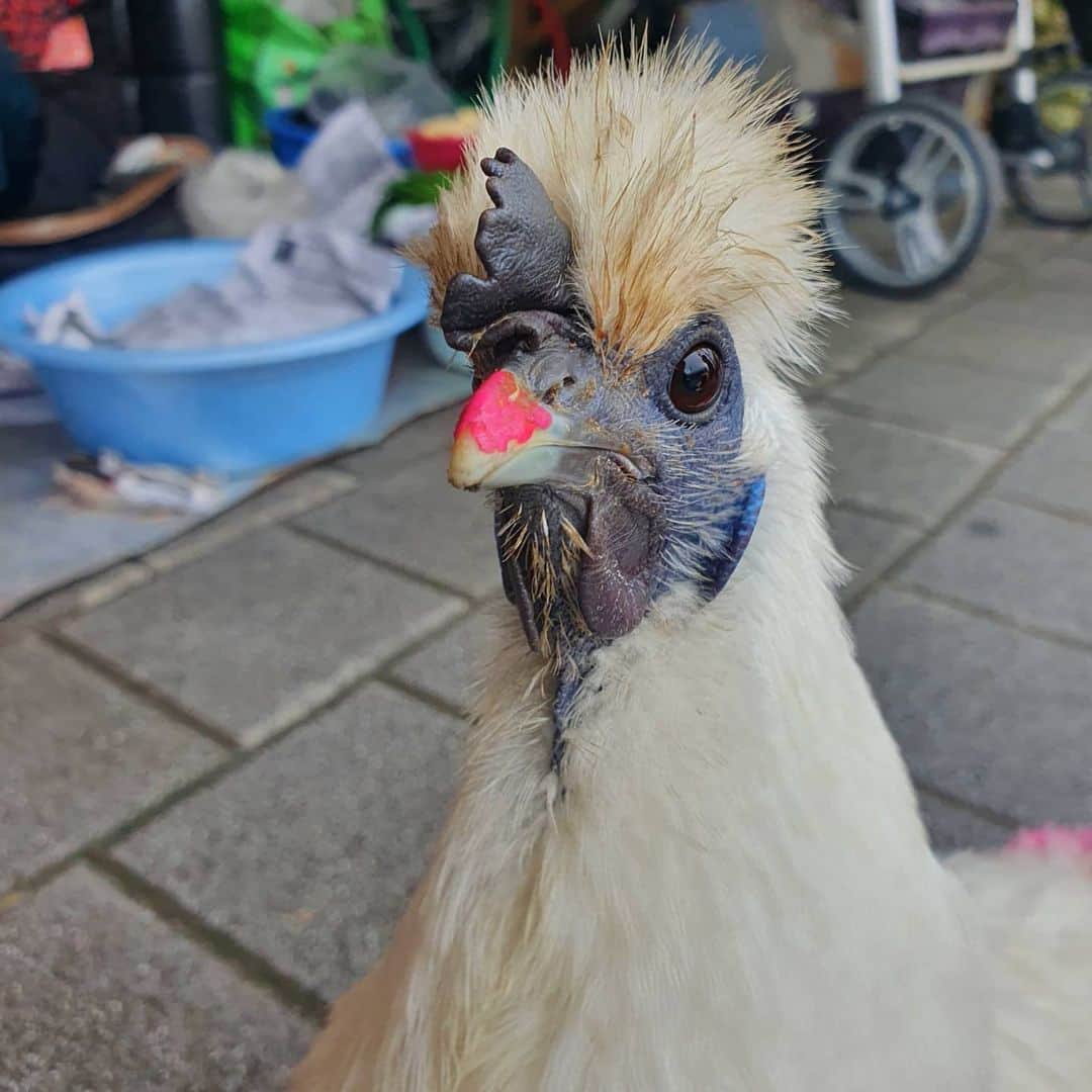 イ・グァンギのインスタグラム